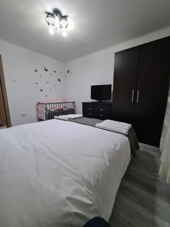 شقة Apartament Ultra Central 1 هونيدوارا المظهر الخارجي الصورة
